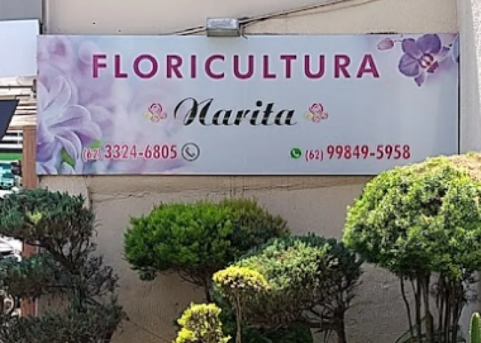 Narita Flores Anápolis em Anápolis